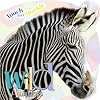 Wild Animals
