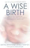 A Wise Birth: Bringing Together the Best of Natural Childbirth and Modern Medicine