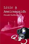 Litir a Ameireagaidh (Sandstone Meanmnach Series)