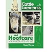 Cattle Lameness and Hoofcare