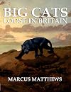 BIG CATS LOOSE IN BRITAIN