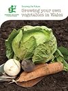 Growing your own vegetables in Wales