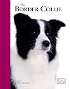 Border Collie - Best Of Breed