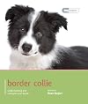 Border Collie (Dog Expert)
