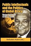 Public intellectuals and the politics of global Africa comparative and biographical essays in honour of Ali A. Mazrui
