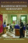 Hasidism Beyond Modernity: Essays in Habad Thought and History (The Littman Library of Jewish Civilization)