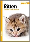 The Kitten - Good Pet Guide
