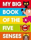 My Big Book of the Five Senses