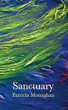 Sanctuary (Salmon Poetry)