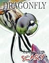 Up Close & Scary Dragonfly