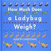 How Much Does a Ladybug Weigh? (Wild Facts & Amazing Math)