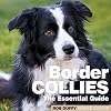 Border Collies: The Essential Guide