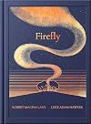 Night Creatures: Firefly: An uplifting and lyrical story of light, hope, and wonder