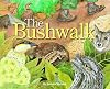 The bushwalk