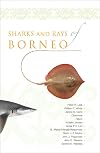 Sharks and Rays of Borneo