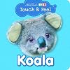 Koala (Touch & Feel Series) [Board book]