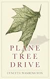 Plane Tree Drive