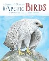 A Children's Guide to Arctic Birds
