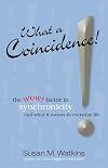 What A Coincidence!: The wow! factor in synchronicity and what it means in everyday life