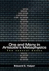 One and Many in Aristotle's Metaphysics: The Central Books