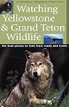 Watching Yellowstone And Grand Teton Wildlife: The Best Places to Look From Roads and Trails