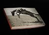 Bygone Days:1907-1957 Photographs by John Penor and Family