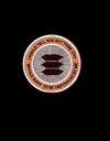 I Could Tell You But Then You Would Have to be Destroyed by Me: Emblems from the Pentagon's Black World