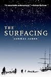 The Surfacing