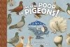 The Real Poop on Pigeons