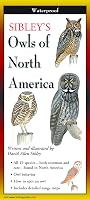 Sibley's Owls of North America