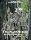 Louisiana Swamps and Marshes: Easy-Access Hikes and Drives