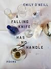 a falling knife has no handle