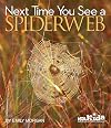 Next Time You See a Spiderweb