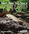 Next Time You See a Maple Seed