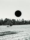 Ground: A Reprise of Photographs from the Farm Security Administration