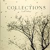Collections: Birds Bones and Butterflies