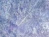 Notations