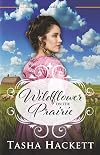 Wildflower on the Prairie (Hearts of the Midwest #2)