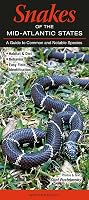 Snakes of the Mid-Atlantic States: A Guide to Common and Notable Species