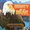 Beauty and the Beak: How Science, Technology, and a 3D-Printed Beak Rescued a Bald Eagle