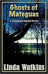 Ghosts of Mateguas