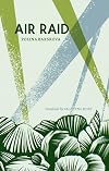 Air raid