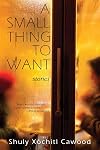 A Small Thing to Want