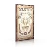 Wanted: Hexed or Alive - A High Noon at Midnight Zine