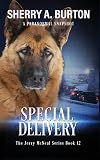 Special Delivery: Book 12 in The Jerry McNeal Series (A Paranormal Snapshot)