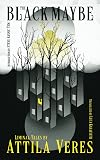 The Black Maybe: Liminal Tales