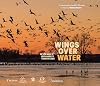 Wings Over Water: The Vital Magic of North America’s Prairie Wetlands