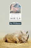 Concerning the Future of Souls