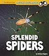Splendid Spiders (Little Entomologist 4D)