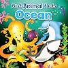 Ocean (First Animal Facts)